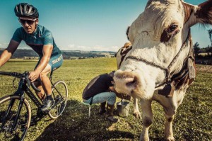 La FarmCX, ou quand les vélos côtoient les vaches... 